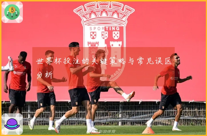 世界杯投注的关键策略与常见误区分析