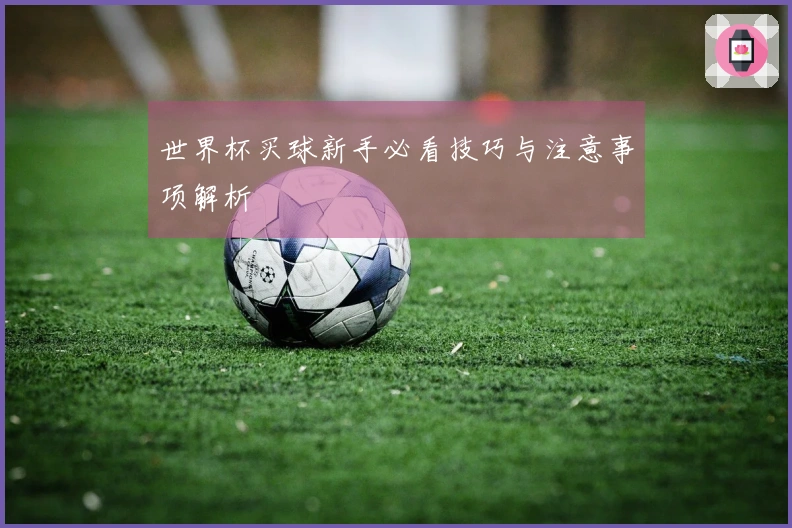 世界杯买球新手必看技巧与注意事项解析