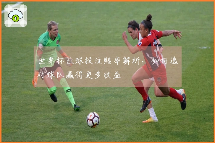 世界杯让球投注赔率解析，如何选对球队赢得更多收益