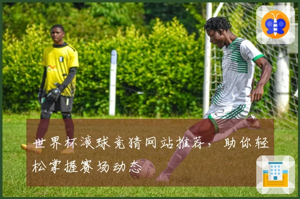 世界杯滚球竞猜网站推荐，助你轻松掌握赛场动态