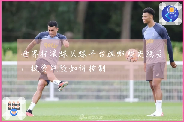 世界杯滚球买球平台选哪些更稳妥，投资风险如何控制