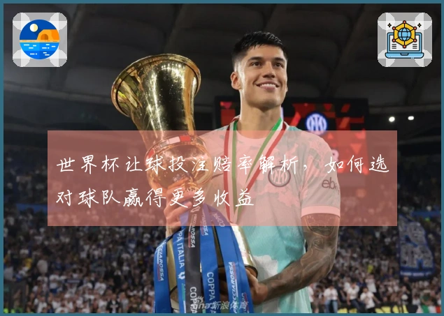 世界杯让球投注赔率解析，如何选对球队赢得更多收益